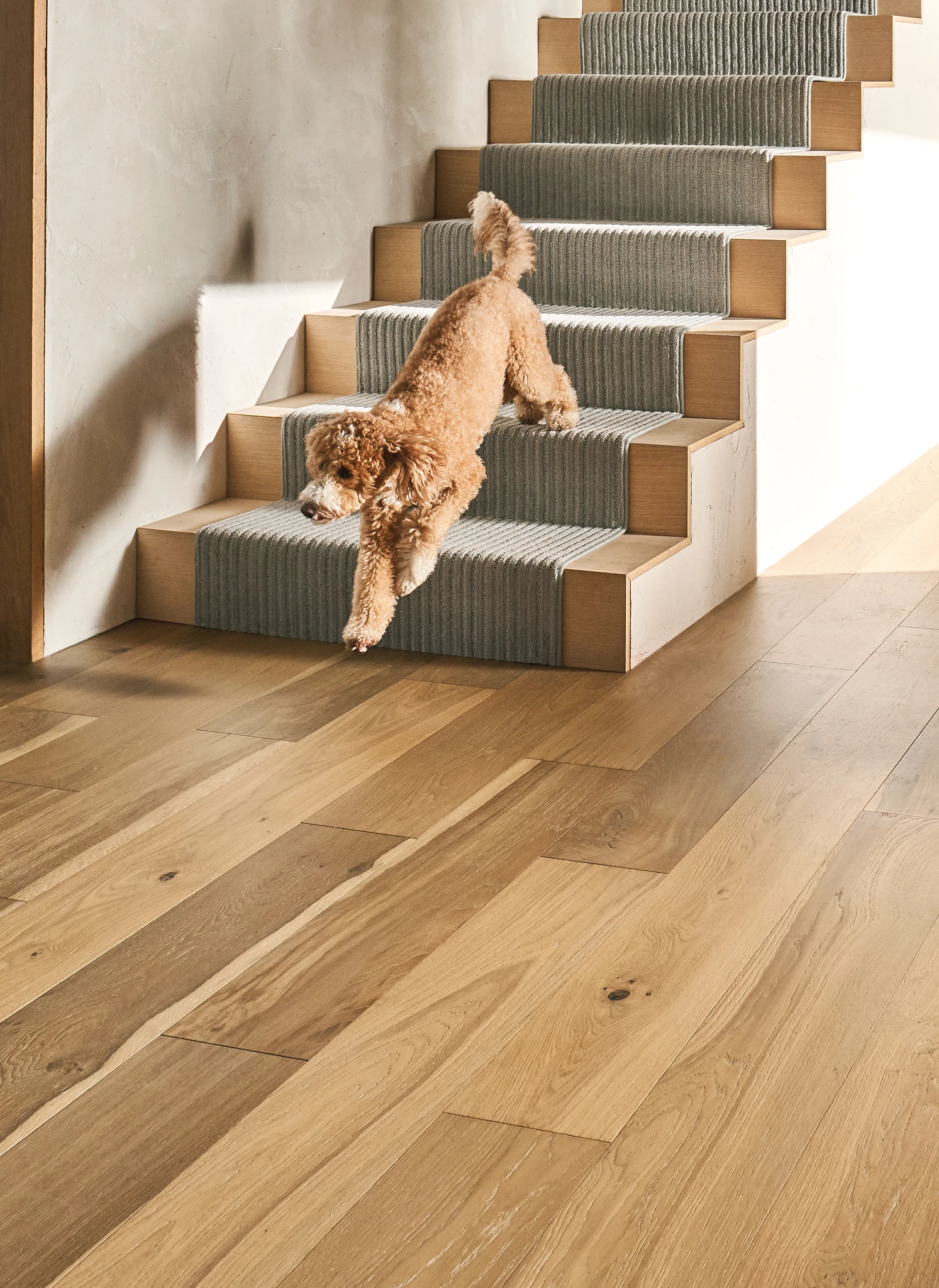 Bali - Carpet for Stairs in Landing | AndersonTuftex